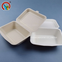 biodegradable lunch box australia